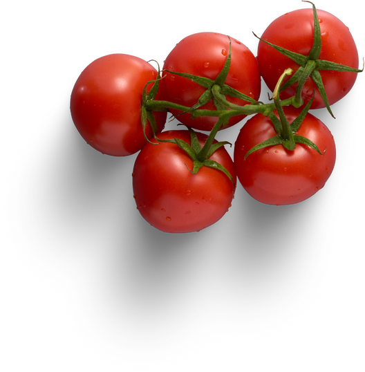 Premium isolated images & templates